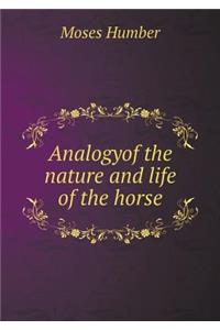 Analogyof the nature and life of the horse