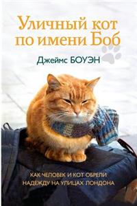 Уличный кот по имени Боб. Как человек и кот