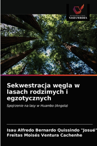 Sekwestracja węgla w lasach rodzimych i egzotycznych