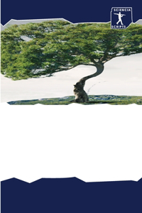 КИТАЙСКИЕ ИНВЕСТИЦИИ И СОЗДАНИЕ РАБОЧИХ М