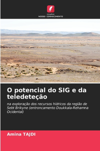 O potencial do SIG e da teledeteção