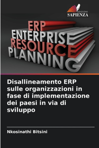 Disallineamento ERP sulle organizzazioni in fase di implementazione dei paesi in via di sviluppo