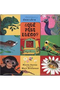 Que Pasa Luego?