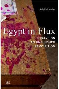 Egypt in Flux