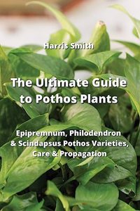 Ultimate Guide to Pothos Plants
