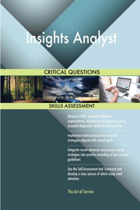 Insights Analyst Critical Questions Skills Assessment