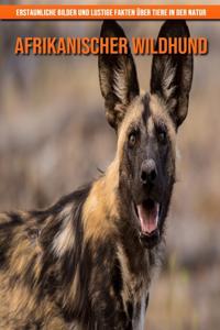 Afrikanischer Wildhund