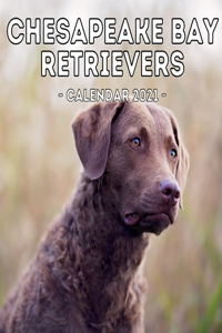Chesapeake Bay Retrievers Calendar 2021