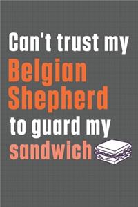 Can't trust my Belgian Shepherd to guard my sandwich