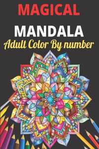 Magical Mandala Adult Color By Number