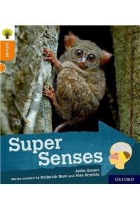 Oxford Reading Tree Explore with Biff, Chip and Kipper: Oxford Level 6: Super Senses