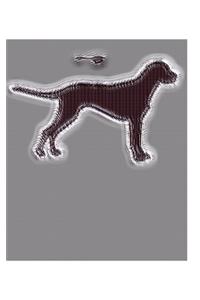 Sir Michael Artist Dog Drawing Journal