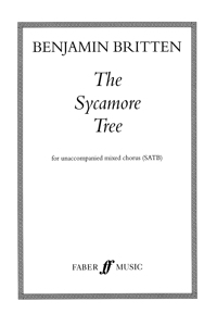 Sycamore Tree