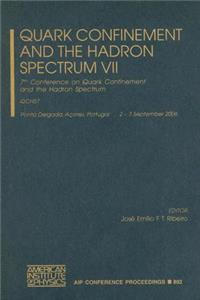 Quark Confinement and the Hadron Spectrum VII