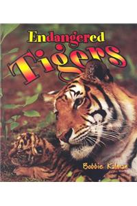 Endangered Tigers