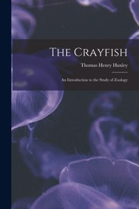 Crayfish
