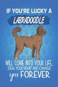 If You're Lucky A Labradoodle Will Come Into Your Life, Steal Your Heart And Change You Forever