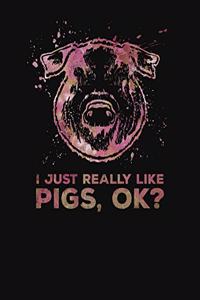 I Just Really Like Pigs OK?