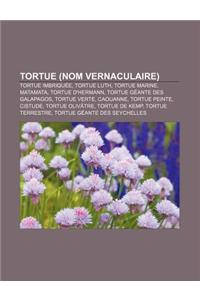 Tortue (Nom Vernaculaire): Tortue Imbriquee, Tortue Luth, Tortue Marine, Matamata, Tortue D'Hermann, Tortue Geante Des Galapagos, Tortue Verte