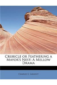 Crubicle or Feathering a Mayor's Nest