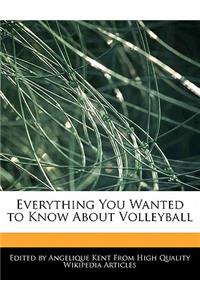Everything You Wanted to Know about Volleyball