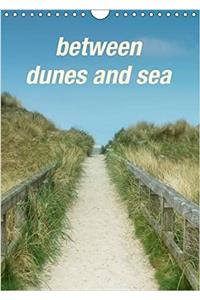 Between Dunes and Sea 2017