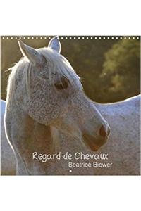 Regard De Chevaux 2018