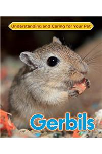 Gerbils