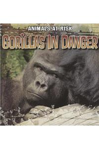 Gorillas in Danger