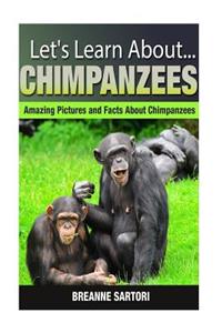 Chimpanzees
