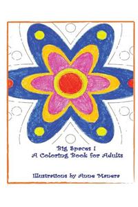 BIG SPACES ! A Coloring Book for Adults