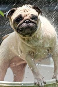 Pug February Notebook Pug Record, Log, Diary, Special Memories, To Do List, Academic Notepad, Scrapbook & More