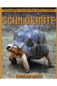 Schildkröte