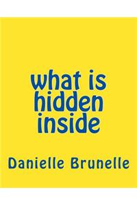 what is hidden inside