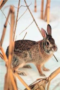 Journal Rabbit Winter