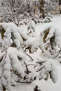 Scenic Winter Photo Journal