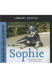 Sophie (Library Edition)
