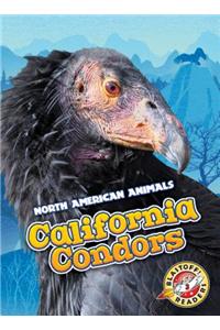 California Condors