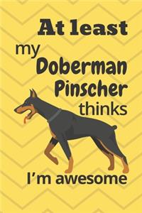 At least my Doberman Pinscher thinks I'm awesome