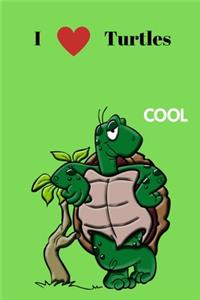 i love turtles