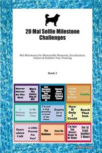 20 Mal Selfie Milestone Challenges