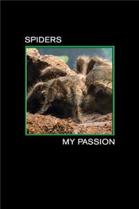 Spiders my Passion