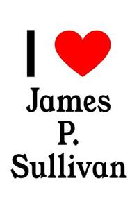 I Love James P. Sullivan: James P. Sullivan Designer Notebook