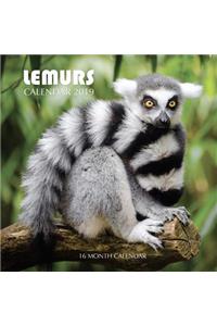 Lemurs Calendar 2019
