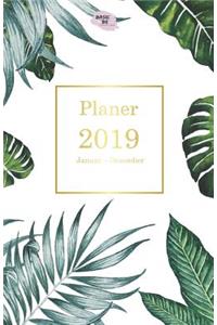 Planer 2019