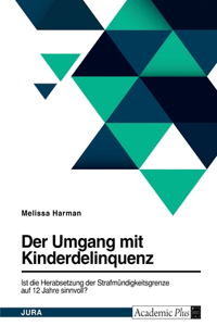 Diskussion um die Herabsetzung der Strafmündigkeitsgrenze auf 12 Jahre in Deutschland