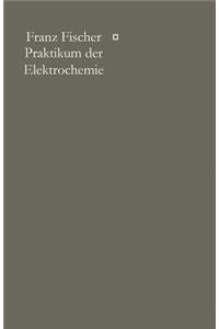 Praktikum der Elektrochemie