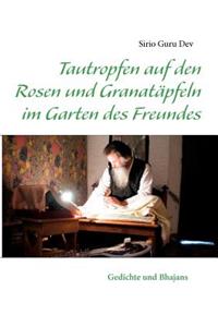 Tautropfen auf den Rosen und Granatäpfeln im Garten des Freundes