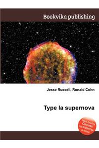 Type Ia Supernova