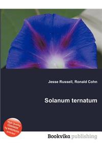 Solanum Ternatum
